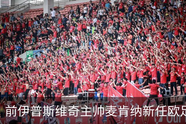 前伊普斯维奇主帅麦肯纳新任欧足联技术观察员
